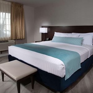 Comfort Single Room